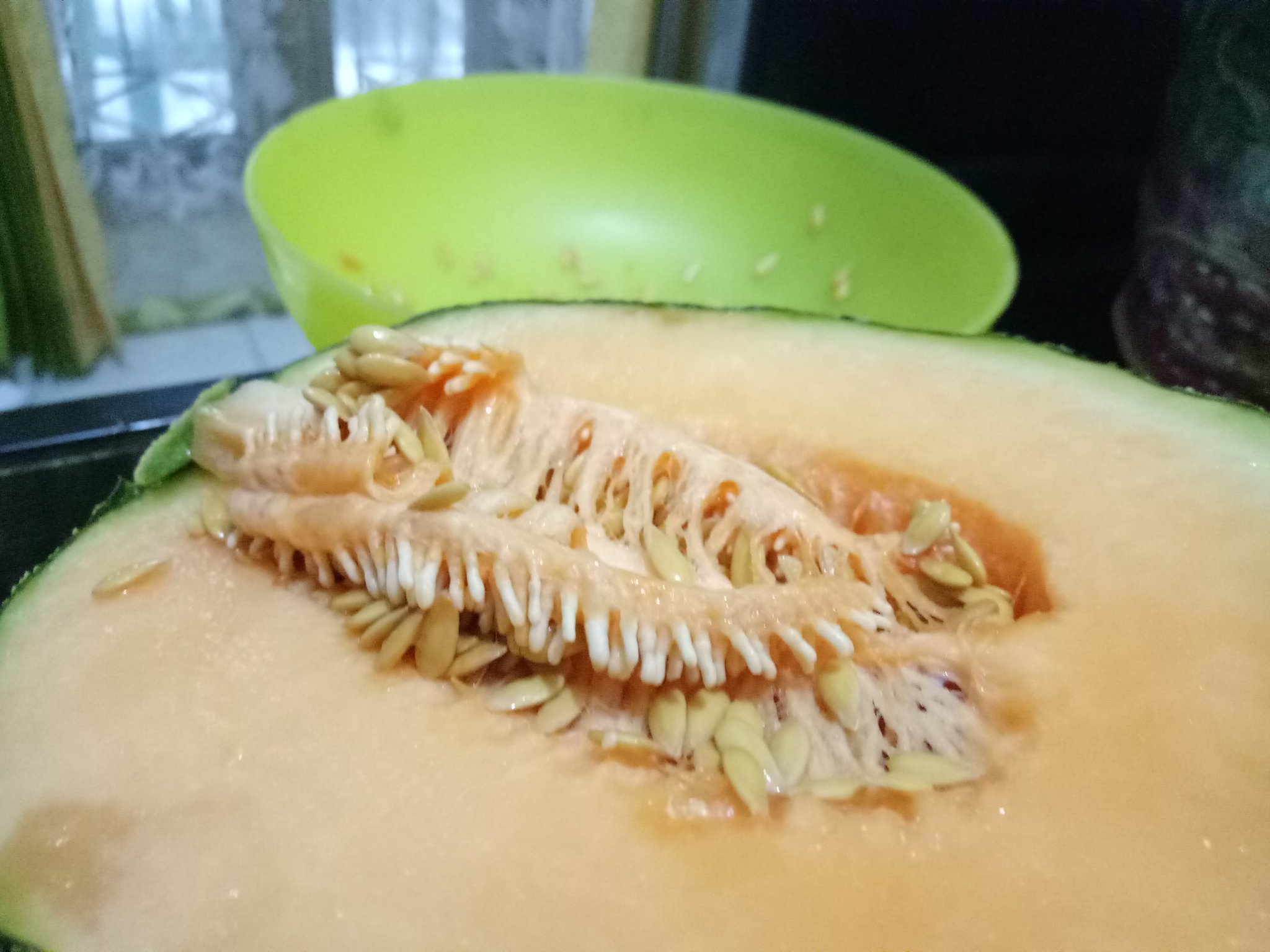 kuaci-biji-melon