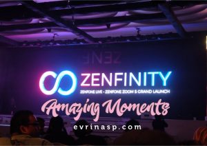 zenfinity-2017