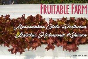 Fruitable Farm, Menanamkan Cinta Pertanian Melalui Hidroponik Kekinian
