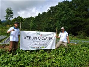 Kebun Organik DSA Bogor-Mitra Organik